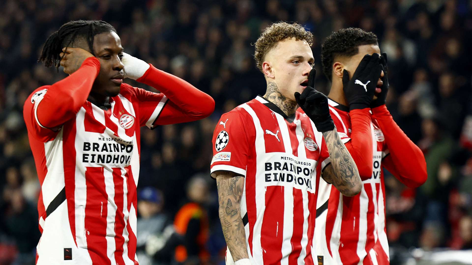 特的优势 特的优势