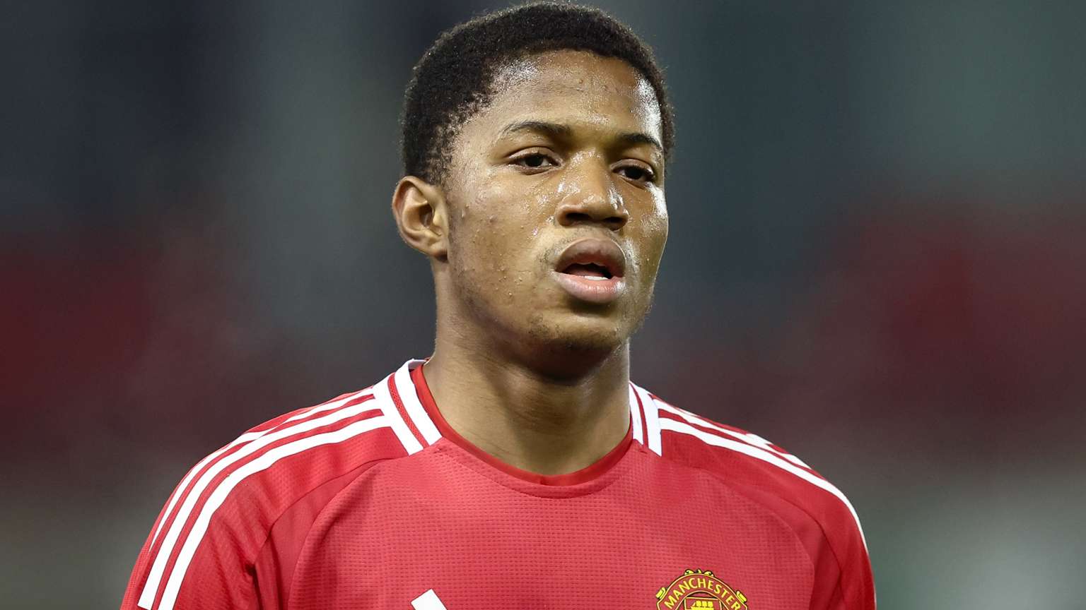 续进步和不 续进步和不